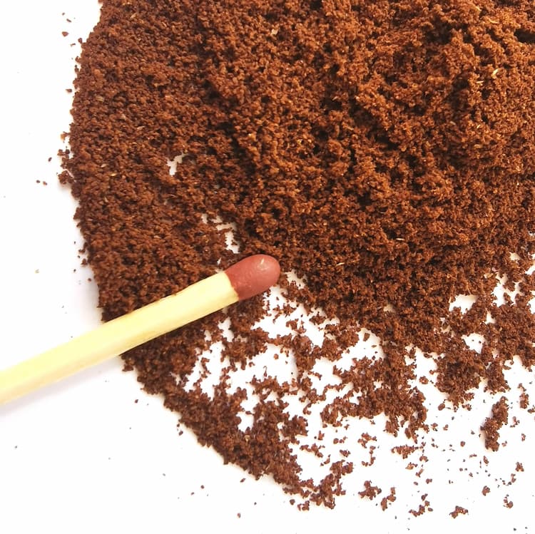 Bodum® Bistro Electric Burr Coffee Grinder – Fresh Roasted Coffee
