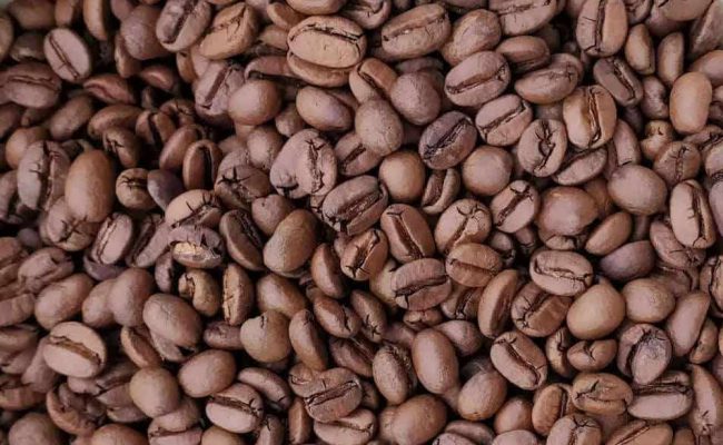 best coffee bean for french press